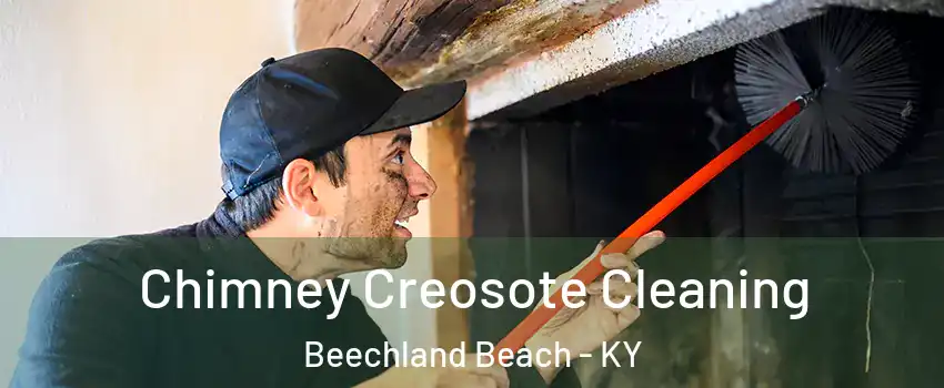 Chimney Creosote Cleaning Beechland Beach - KY