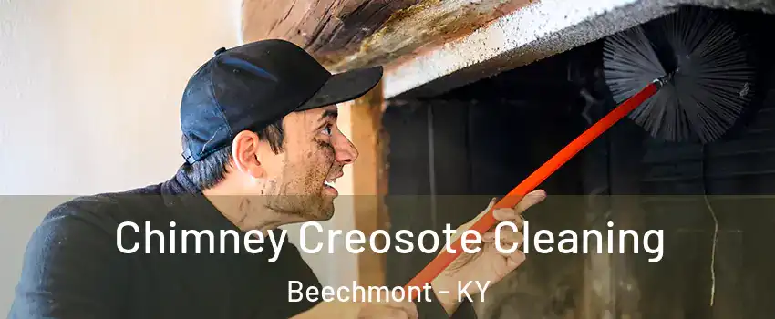 Chimney Creosote Cleaning Beechmont - KY