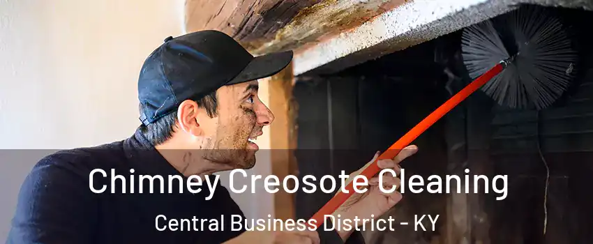 Chimney Creosote Cleaning Central Business District - KY