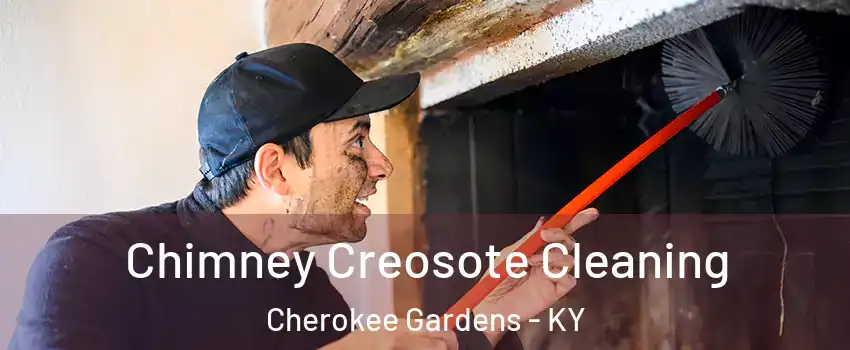 Chimney Creosote Cleaning Cherokee Gardens - KY