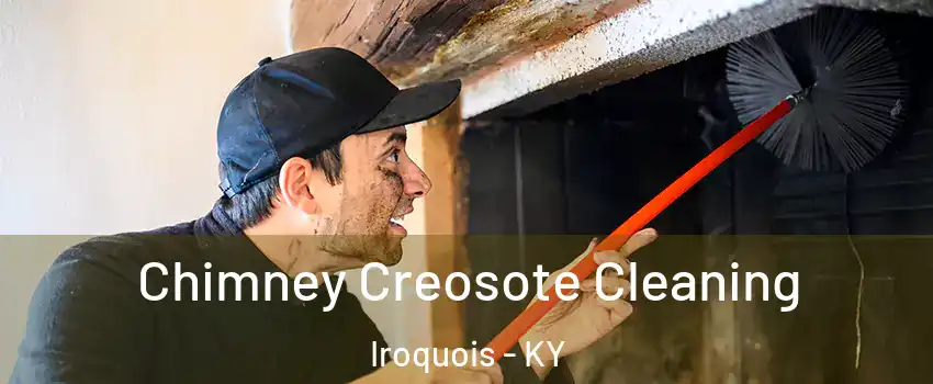 Chimney Creosote Cleaning Iroquois - KY