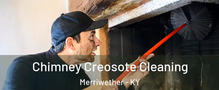 Chimney Creosote Cleaning Merriwether - KY