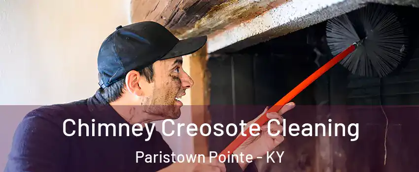 Chimney Creosote Cleaning Paristown Pointe - KY