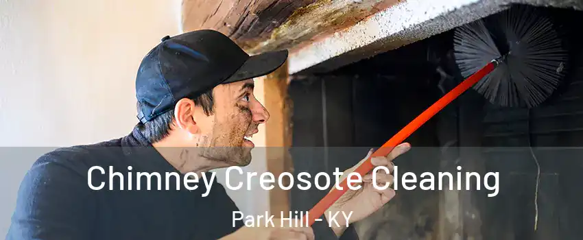 Chimney Creosote Cleaning Park Hill - KY