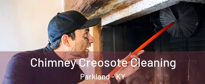 Chimney Creosote Cleaning Parkland - KY