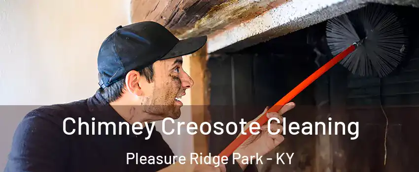 Chimney Creosote Cleaning Pleasure Ridge Park - KY