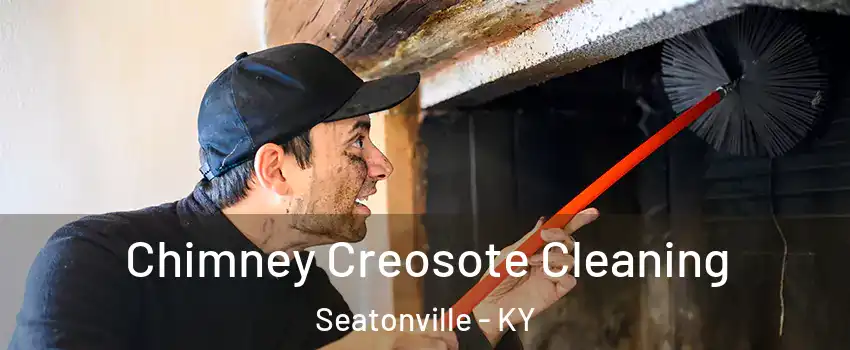 Chimney Creosote Cleaning Seatonville - KY