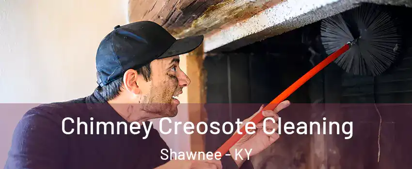 Chimney Creosote Cleaning Shawnee - KY