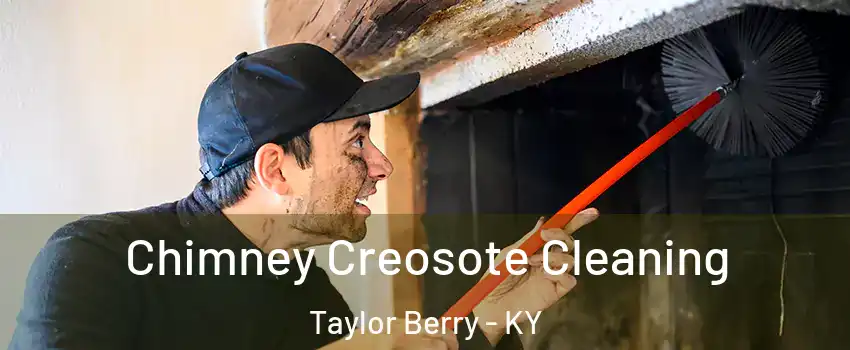 Chimney Creosote Cleaning Taylor Berry - KY