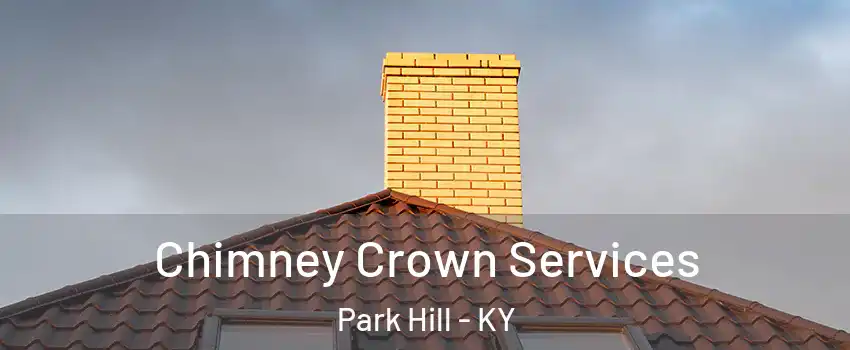 Chimney Crown Services Park Hill - KY