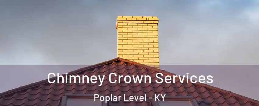 Chimney Crown Services Poplar Level - KY