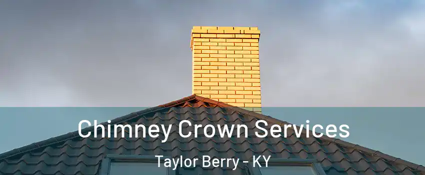 Chimney Crown Services Taylor Berry - KY