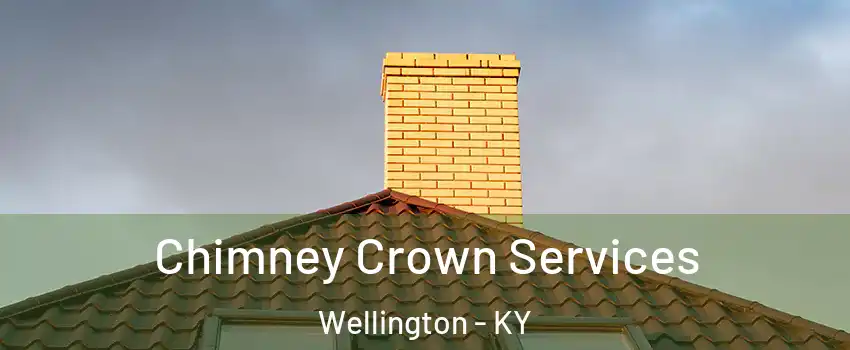 Chimney Crown Services Wellington - KY