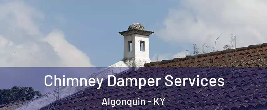 Chimney Damper Services Algonquin - KY