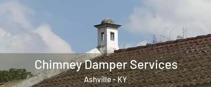 Chimney Damper Services Ashville - KY