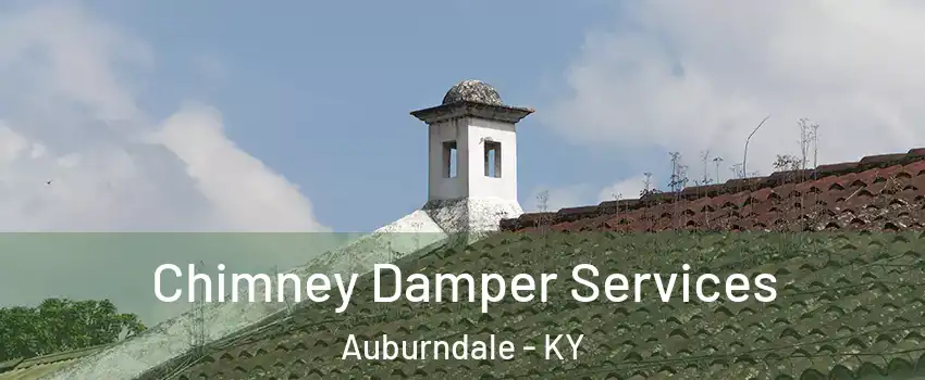 Chimney Damper Services Auburndale - KY