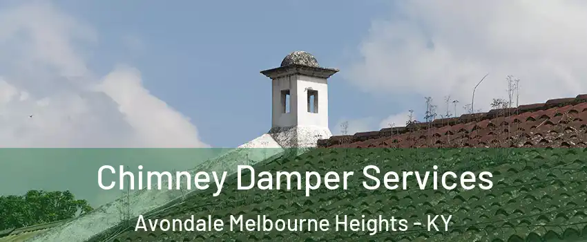 Chimney Damper Services Avondale Melbourne Heights - KY