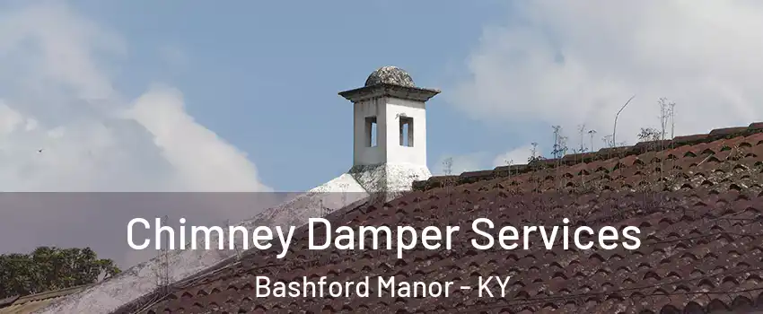 Chimney Damper Services Bashford Manor - KY