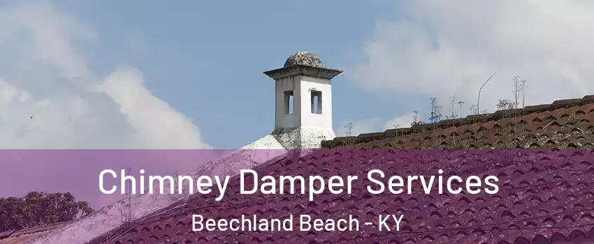 Chimney Damper Services Beechland Beach - KY