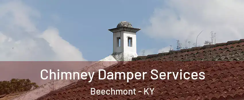 Chimney Damper Services Beechmont - KY