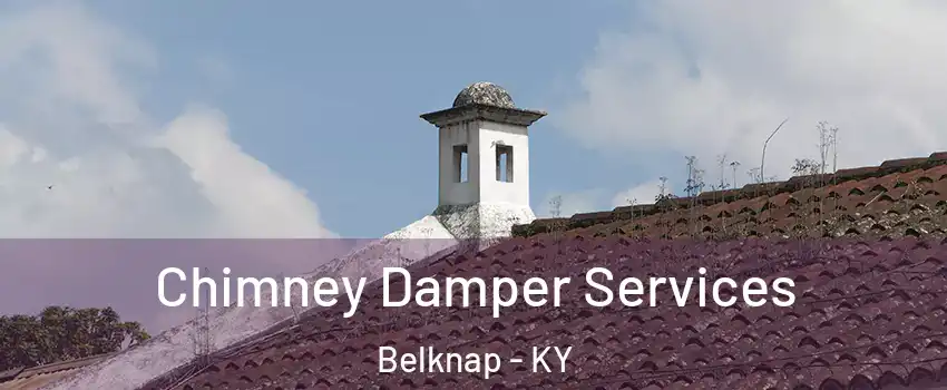 Chimney Damper Services Belknap - KY