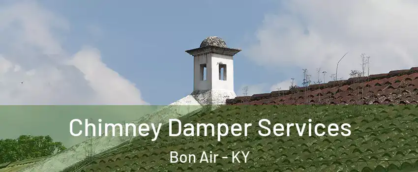 Chimney Damper Services Bon Air - KY