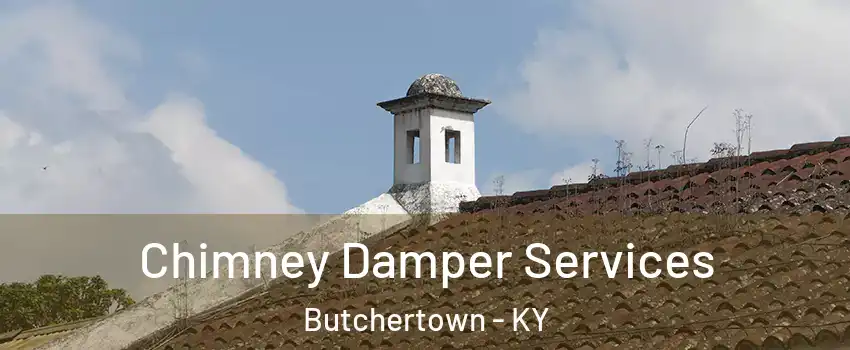 Chimney Damper Services Butchertown - KY