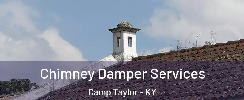 Chimney Damper Services Camp Taylor - KY