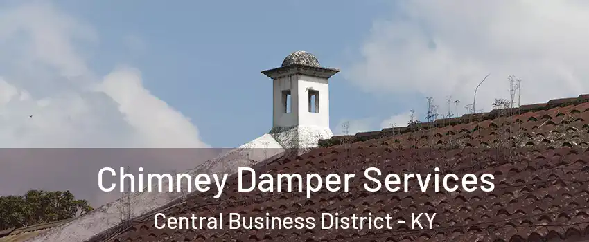 Chimney Damper Services Central Business District - KY