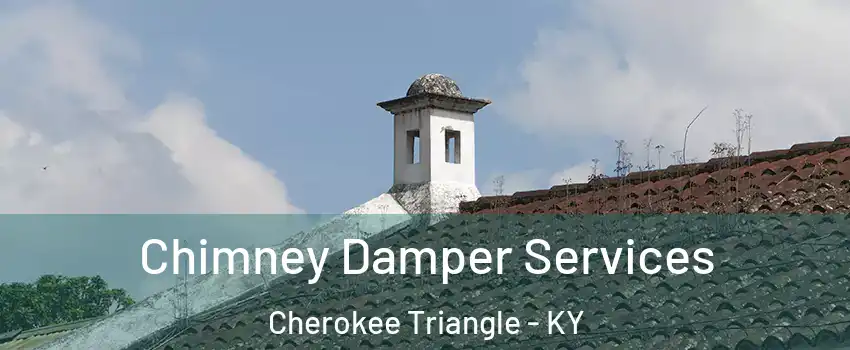 Chimney Damper Services Cherokee Triangle - KY