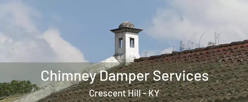 Chimney Damper Services Crescent Hill - KY