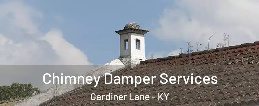 Chimney Damper Services Gardiner Lane - KY