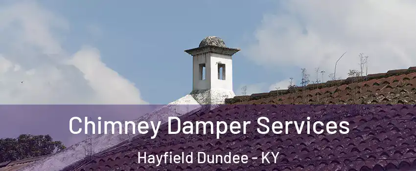 Chimney Damper Services Hayfield Dundee - KY