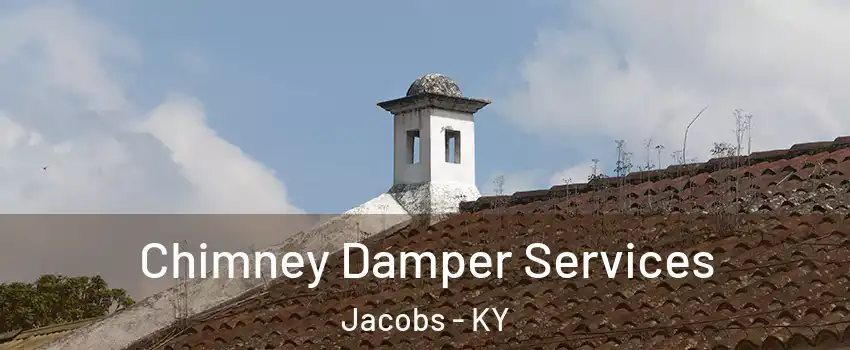 Chimney Damper Services Jacobs - KY