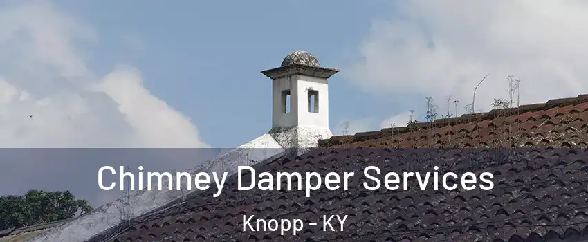 Chimney Damper Services Knopp - KY