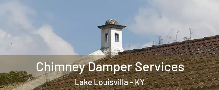 Chimney Damper Services Lake Louisvilla - KY