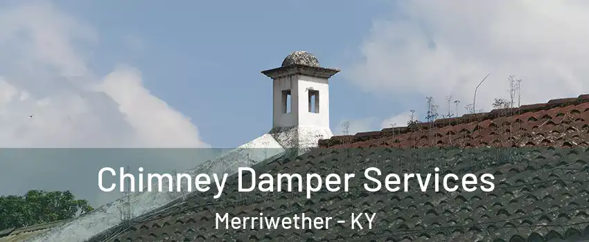 Chimney Damper Services Merriwether - KY