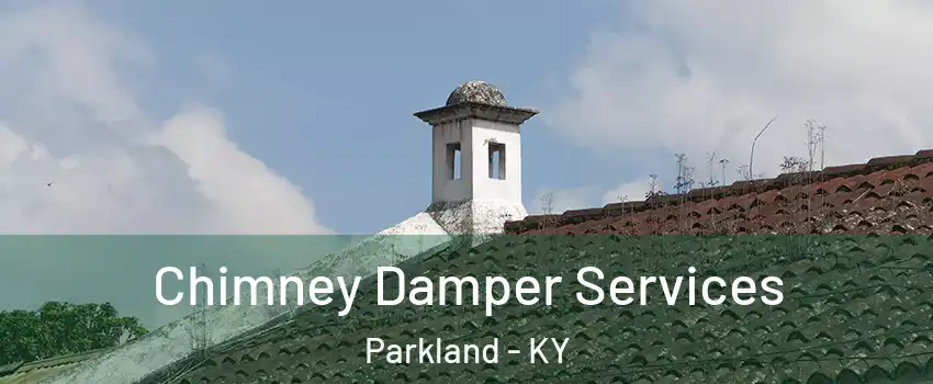 Chimney Damper Services Parkland - KY