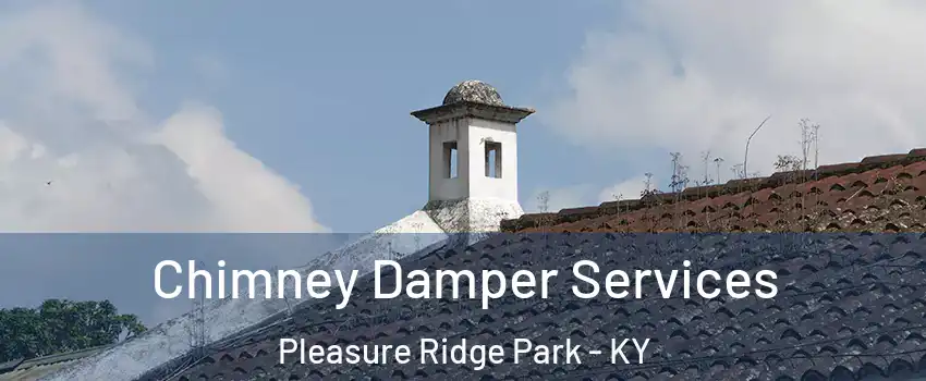 Chimney Damper Services Pleasure Ridge Park - KY