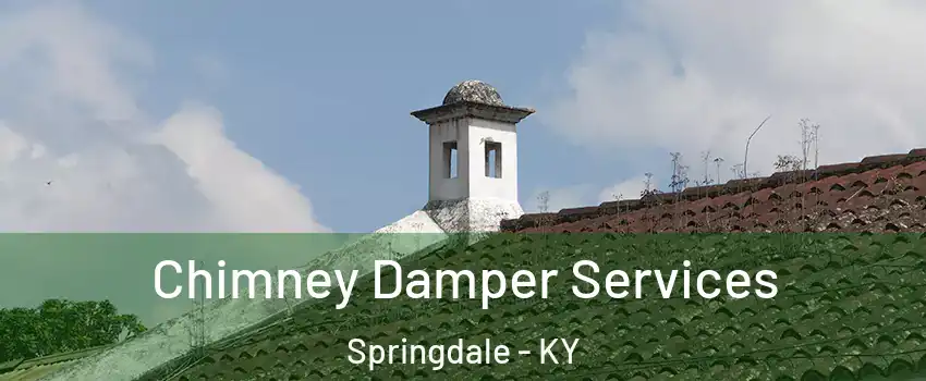 Chimney Damper Services Springdale - KY