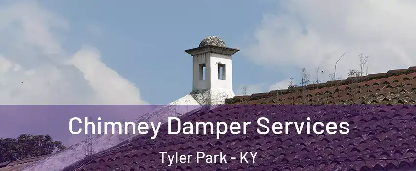 Chimney Damper Services Tyler Park - KY