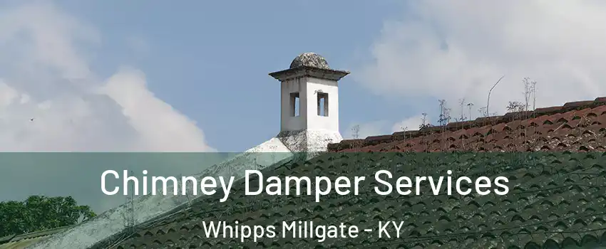 Chimney Damper Services Whipps Millgate - KY