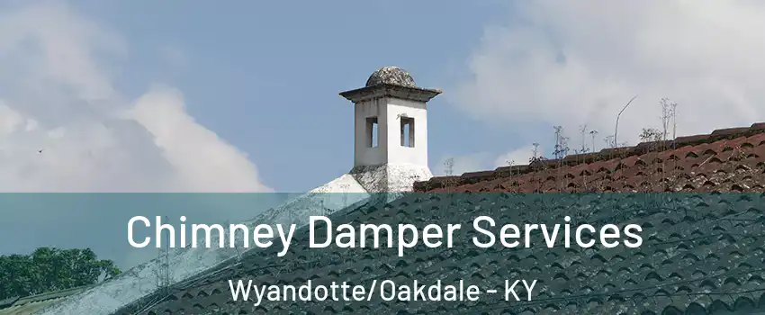 Chimney Damper Services Wyandotte/Oakdale - KY