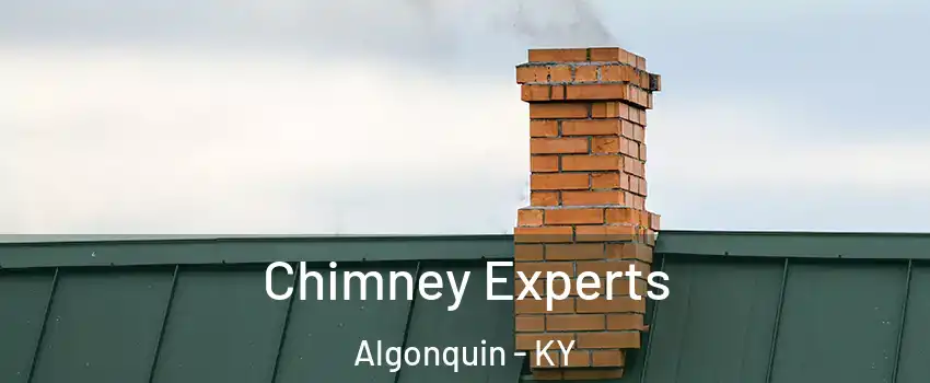 Chimney Experts Algonquin - KY