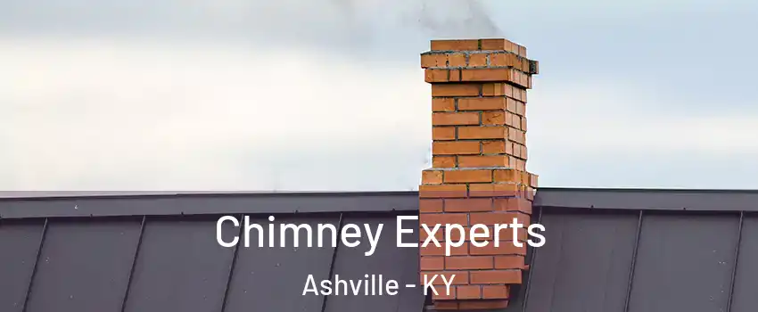 Chimney Experts Ashville - KY