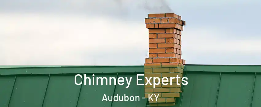 Chimney Experts Audubon - KY