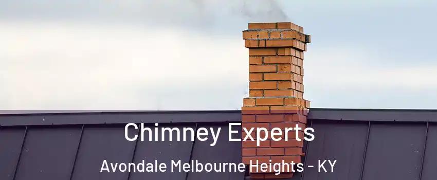 Chimney Experts Avondale Melbourne Heights - KY