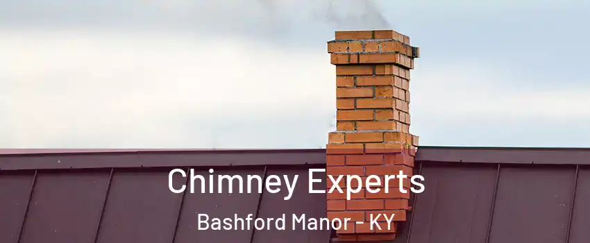 Chimney Experts Bashford Manor - KY