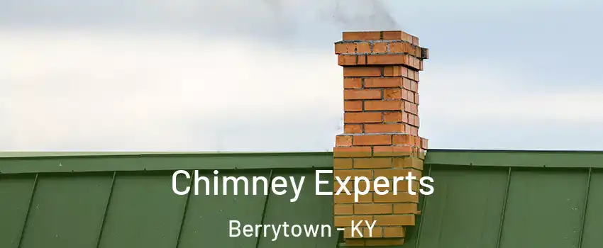 Chimney Experts Berrytown - KY