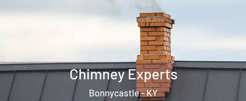 Chimney Experts Bonnycastle - KY